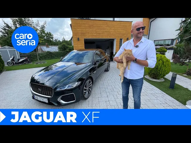 Jaguar XF, czyli lepszy kot w garści, niż Niemiec na dachu! (TEST PL 4K) | CaroSeria