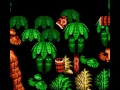 Lagu NES Longplay [685] Donkey Kong Country 4 (Unlicensed)