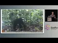 Emily Dorne Jay Qi - Zamba Computer vision for wildlife conservation SciPy 2025