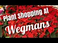 Plant Shopping At Wegmans East Coast Compare Two Wegmans Stores
