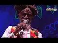 Download Lagu BUNNY WAILER \u0026 The Solomonic Orchestra live @ Main Stage 2015