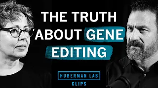 The Truth About Human Gene Editing | Dr. Beth Shapiro & Dr. Andrew Huberman