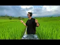Download Lagu Afro House 2025  | Bali Sunset Mix