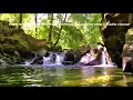 Download Lagu 528Hz Miracle Tone - River,birds \u0026 forest sound HD - No Headphones Required - 4 Hours