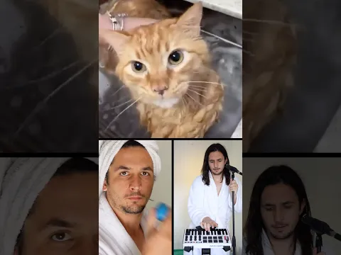Don't let Billie Eilish see this 😹😹
