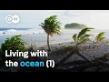 Treasure islands in the Pacific - From Hawaii to the Cook Islands DW Documentary