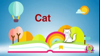 كلمات عربي انجليزي قطة طيور بيبي  كلمات عربي انجليزي قطة طيور بيبي