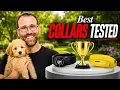 SpotOn vs Halo - Which GPS Dog Fence is Worth Your Money