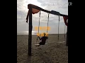 如果我能  张清芳  歌词