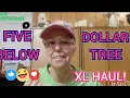 DOLLAR TREE FIVE BELOW HAUL AWESOME FINDS