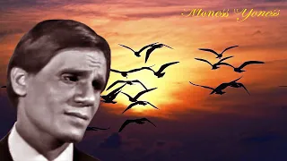 و قابلنا أنا و انت في مشوارنا عبد الحليم حافظ صوت عالي الجودة 