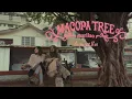 Lagu The Purest Blue - Macopa Tree / Marilao (Official Music Video)
