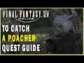 FINAL FANTASY XIV - To Catch a Poacher Quest Guide FFXIV Archer Quests Walkthrough