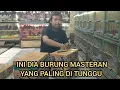 Download Lagu INI DIA BURUNG MASTERAN YANG PALING DI TUNGGU 
