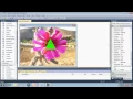 Visual Basic 2010 Express Tutorial 31 Picture Transparency PNG Images Within PictureBoxes 2