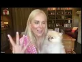Interview Highlights Kameron Westcott