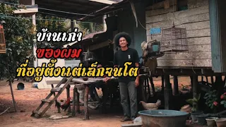 บ้านเก่า บังฟู