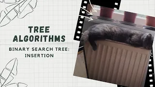 07 Binary Search Tree Insertion