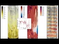 Post-Processing using Tecplot for Barracuda