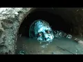 Terrifying Swamp Anomalies Scientists Cannot Explain