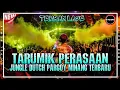 Download Lagu DJ MINANG TERBARU - TARUMIK PERASAAN - JUNGLE DUTCH PARGOY MINANG TERBARU 2023