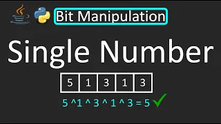 LeetCode - 136 Single Number Bit Manipulation Python Java