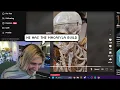 xQc makes Fun of Macaiyla s Chin