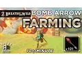 Zelda Breath of the Wild - BEST BOMB ARROW FARMING 10 minute