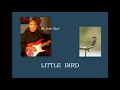 LITTLE BIRD, DEJAVU BAND