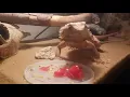 Bearded Dragon eats Tomato