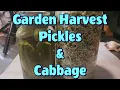 First Pickles Cabbage Of 2026