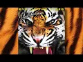 Download Lagu DEVIL YOU KNOW - Eye of The Tiger (OFFICIAL TRACK)