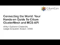 Connecting the World Your Hands-on Guide To Cilium Cl Arthur Outhenin-Chalandre Quentin Swiech