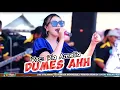 Download Lagu FARIS KENDANG MAHESA MUSIC and FRIENDS I RIA AMELIA - DUMES I AS PERKASA