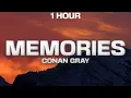 Download Lagu [1 HOUR] Conan Gray - Memories (Lyrics)