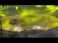 Download Lagu Metallica - Live in Hamburg 2023 1st show part 2(Full Concert)