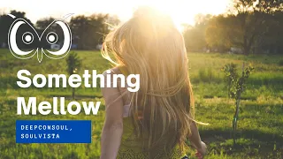something mellow original mix deepconsoul soulvista