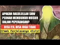 Download Lagu ISLAM AGAMA PERANG? TERNYATA RASULULLAH TIDAK PERNAH MEMBUNUH MUSUH SECARA LANGSUNG DALAM PEPERANGAN