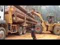Download Lagu Truck Logging MAN TGS 40.440 6x6 dengan Kerja sama team di Medan berat.