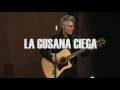 La Gusana Ciega - Tornasol (En Sesiones Claustro)