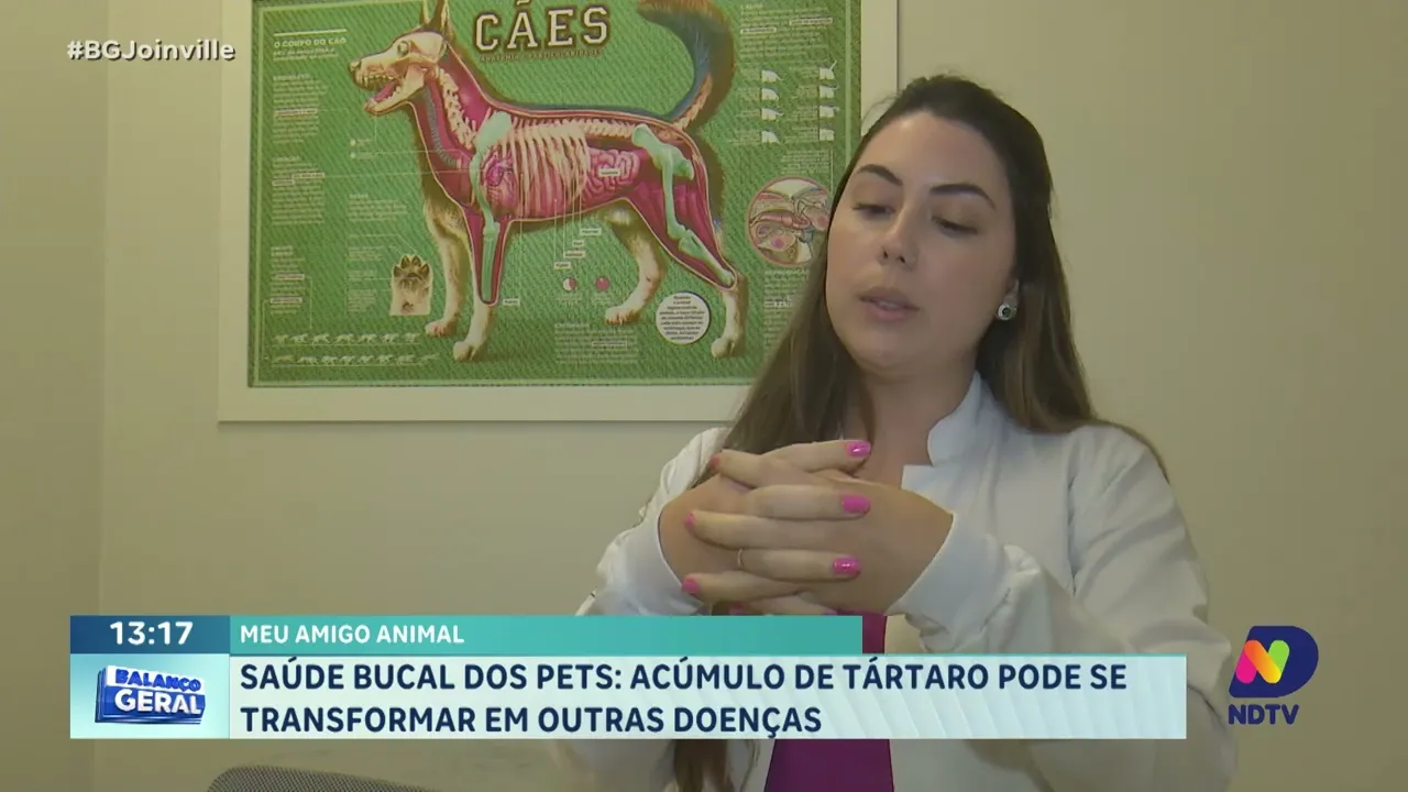 Meu Amigo Animal: saúde bucal dos pets. Acúmulo de tártaro pode se transformar em outras doenças