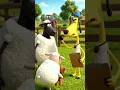 Lagu Shaun the Sheep’s Hilarious Prank on Bitzer! 😂 #Shorts