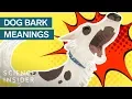 Download Lagu What Different Dog Barks Mean