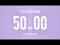 50 Minute Countdown Timer Flip Clock with Bell Alerts