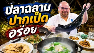 หม่อมถนัดแดก | ปลาฉลามปากเป็ด อร่อย