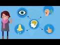 Information Processing Theory