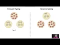 Pre-Transfusion Testing Type Screen and Crossmatch