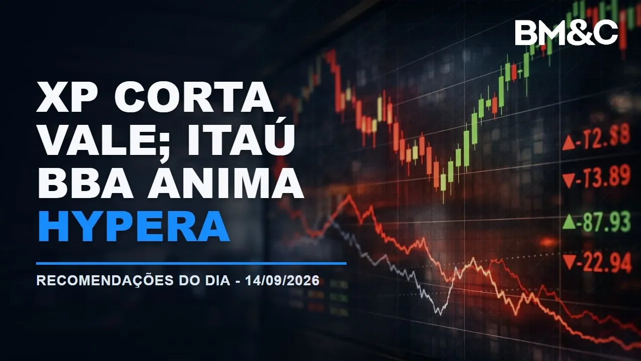 Vale, Marcopolo, Hypera e Alpargatas: o que mudaram XP, Citi, Itaú BBA e Jefferies
