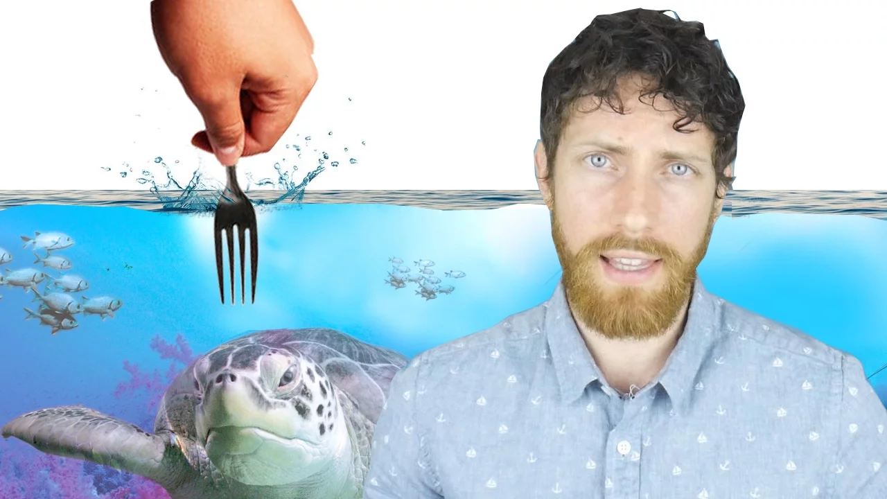 Is Your Diet Destroying the Ocean?