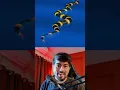 Snake with mathematics
